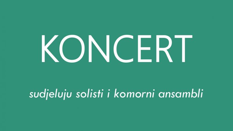 Koncert solista i komornih ansambala
