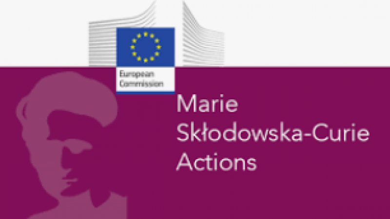 Getting ready for MSCA Postdoctoral...